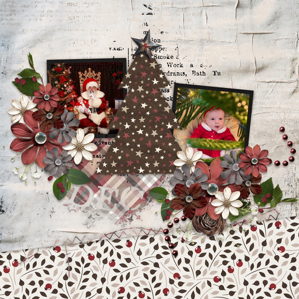 December Feeling with December Memories Temp 2#1-CarolW