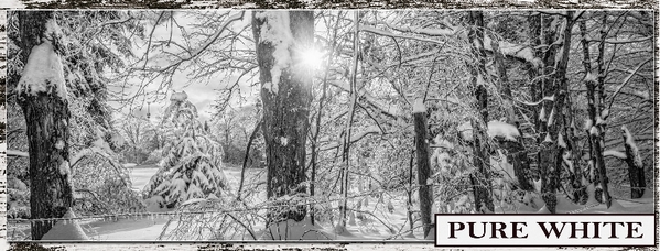 December header