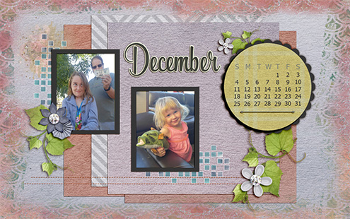 December in the Low Desert