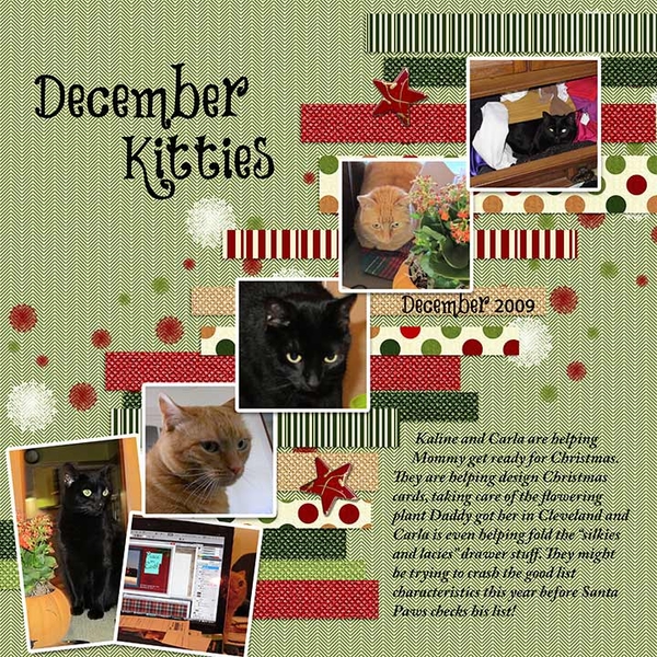 December Kitties