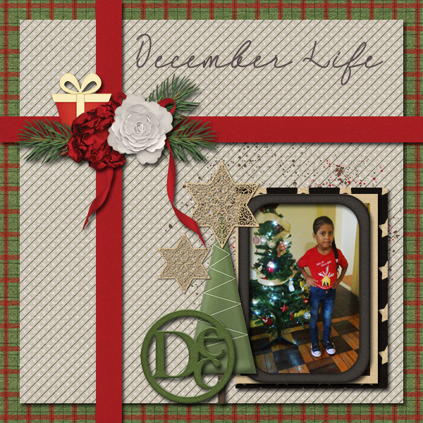 December Life 2019