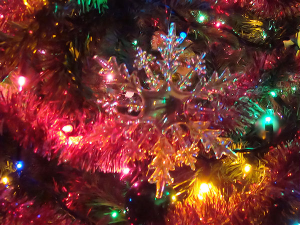 December - Say Click