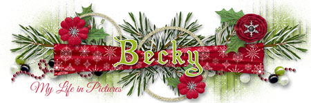 December siggie