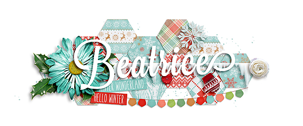 December Siggy