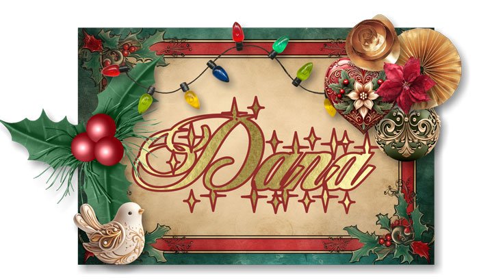 December Siggy
