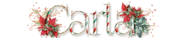 December Signature