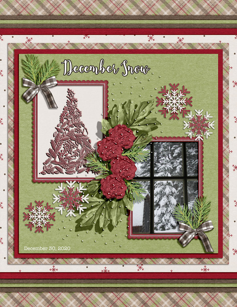 DECEMBER SNOW