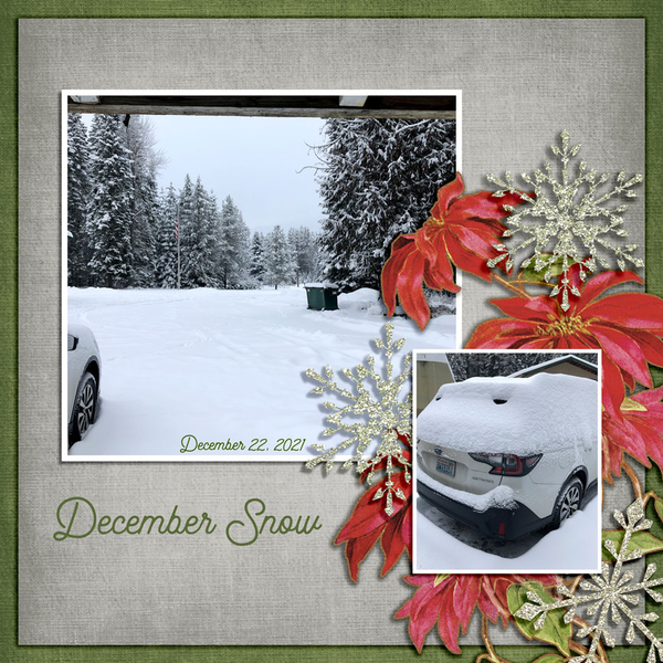 DECEMBER SNOW