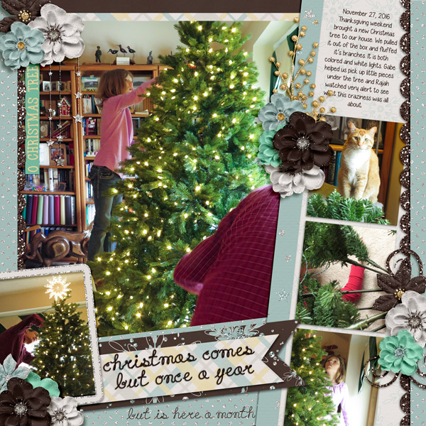 December Starts