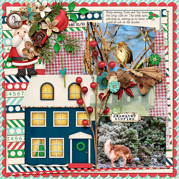December Stories