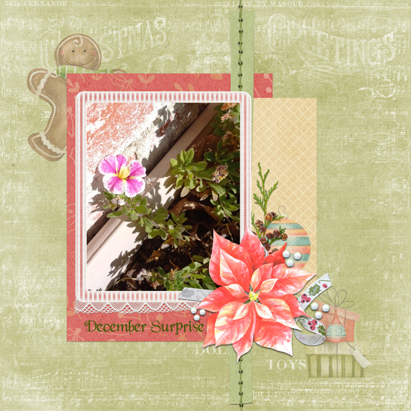 December Surprise