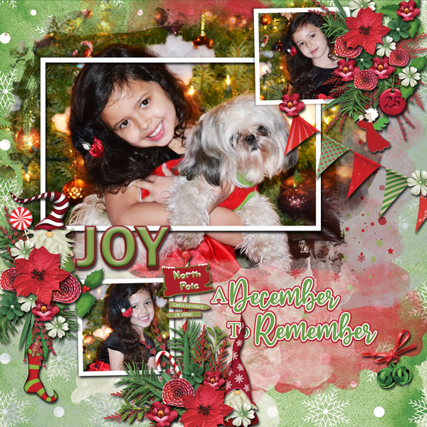 December To Remember