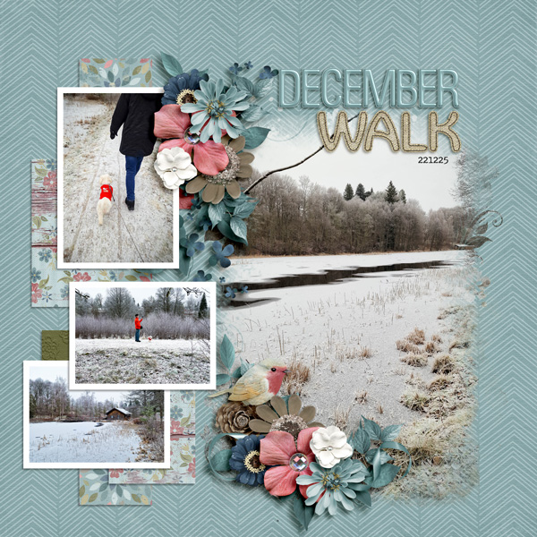 December Walk