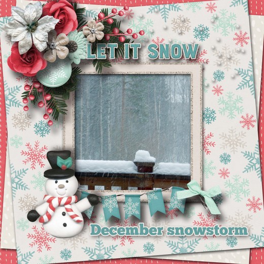 December_snowstorm