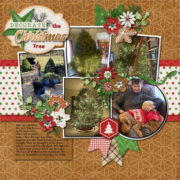 Decorate the Christmas Tree