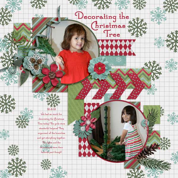 Decorating the Christmas Tree