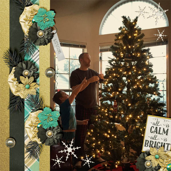 Decorating the Tree 2015