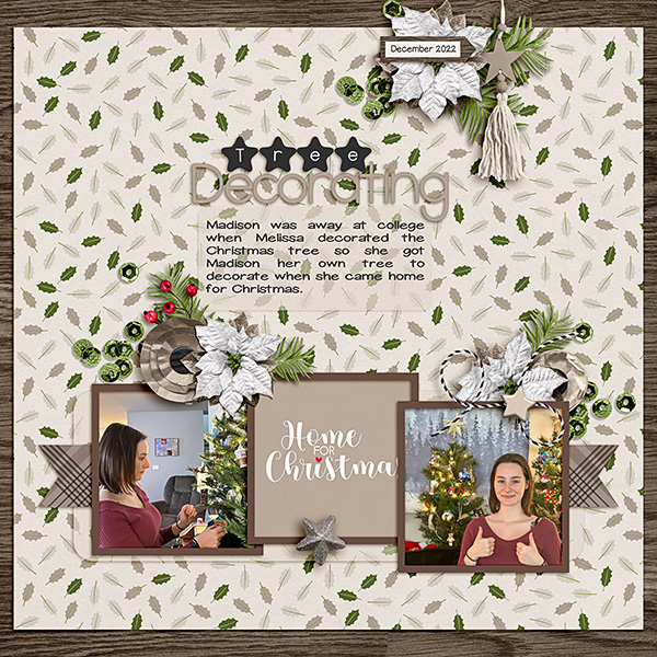 Decorating-the-Tree