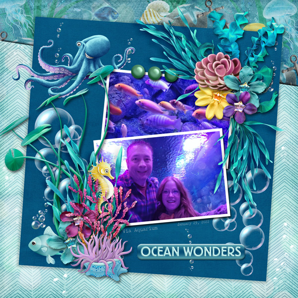 Deep Blue Sea - Ocean Wonders