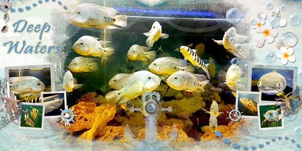 Deep Waters