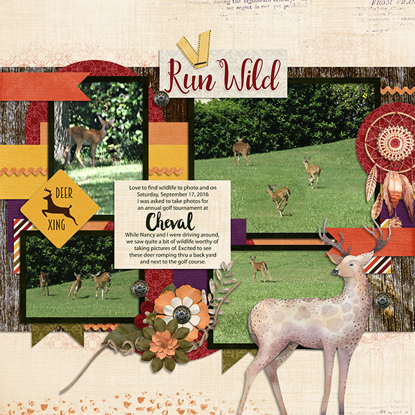 Deer at Cheval