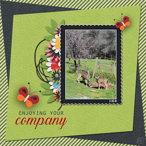Deer--enjoying your company