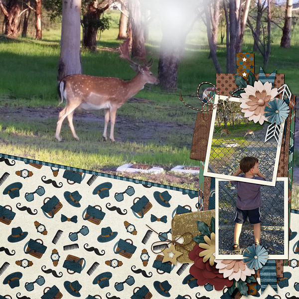 Deer watching