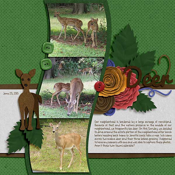 Deer