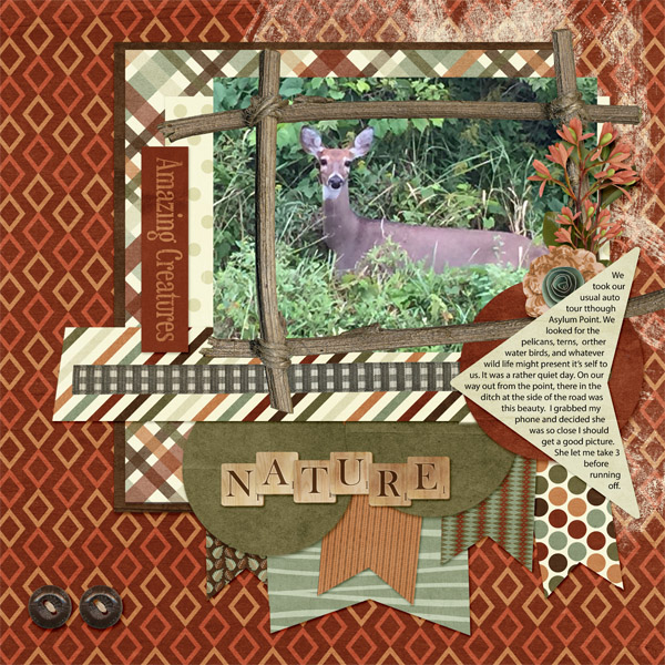 Deer