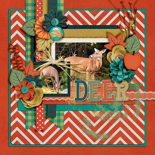 Deer