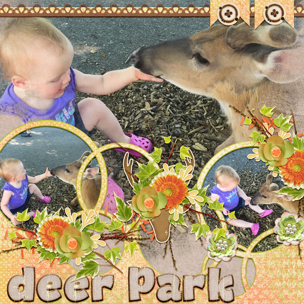 Deer