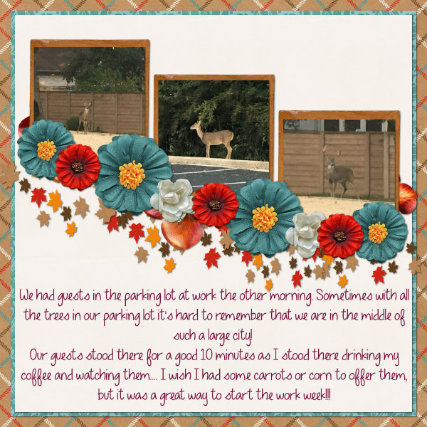 deer