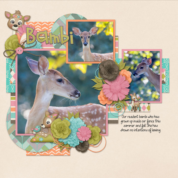 Deer