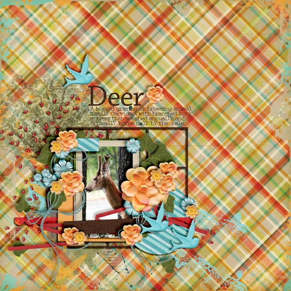 Deer