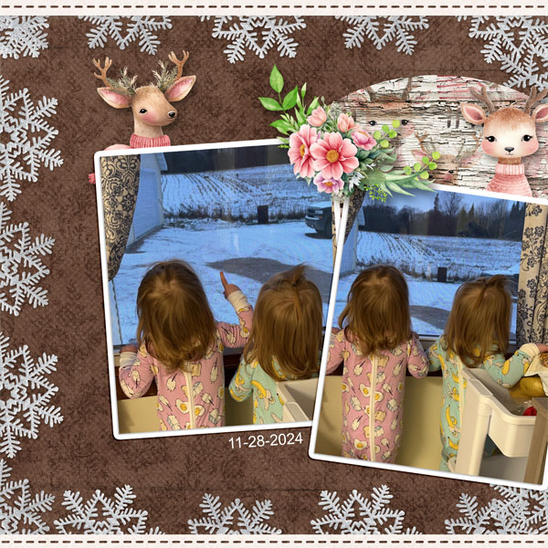 Deer_Watching