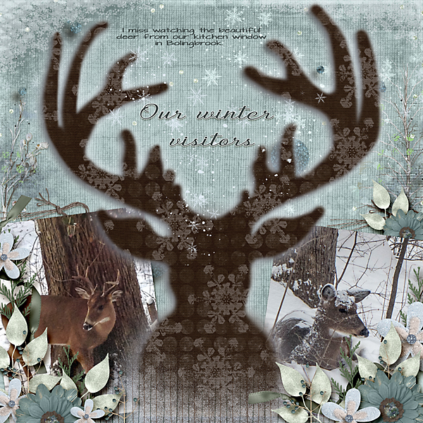 deerinyard3tcot-patronus2-WEB600