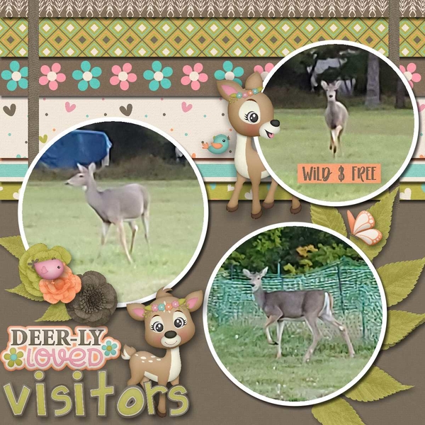 Deerly Loved Visitors