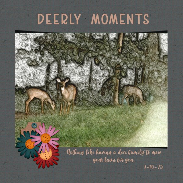 Deerly Moments