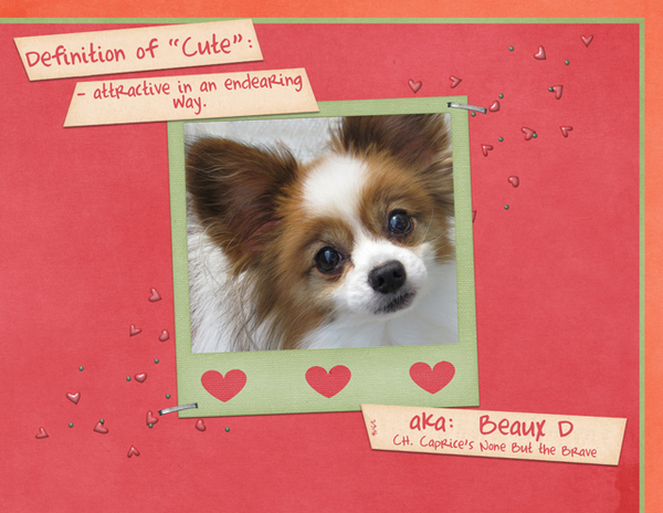 Definition of Cute -2