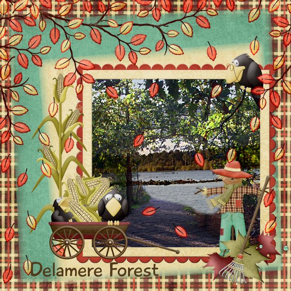 Delamere Forest, UK