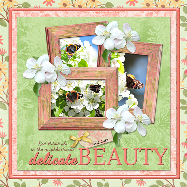 delicate BEAUTY