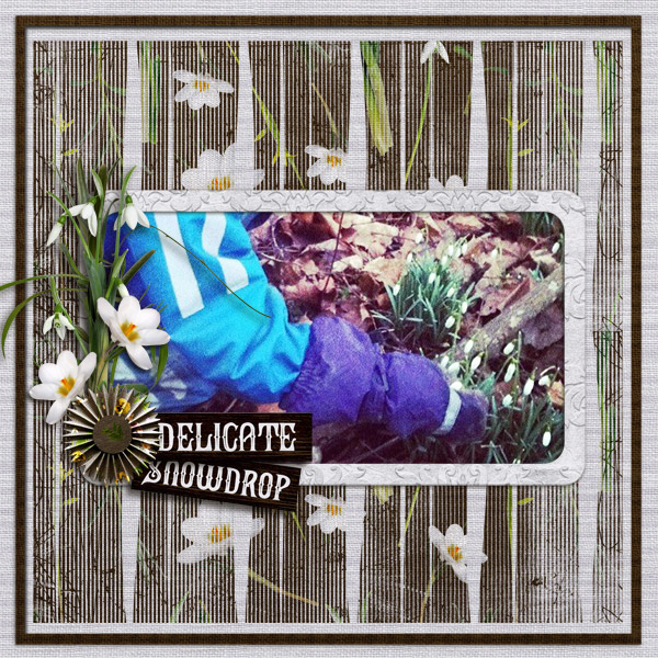 Delicate-snowdrop