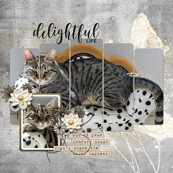 Delightful Life