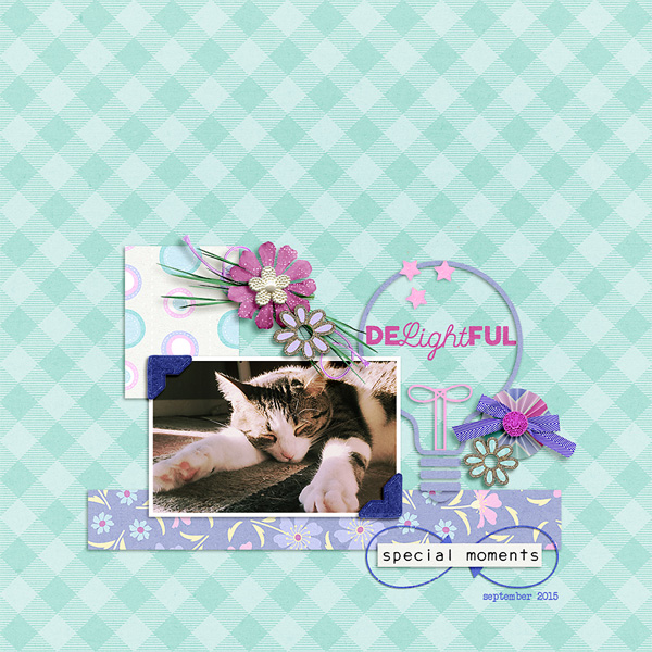 delightful special moments