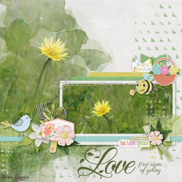 Delightful Spring unbundled