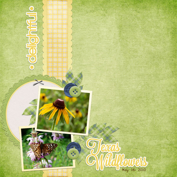 Delightful Texas Wildflowers