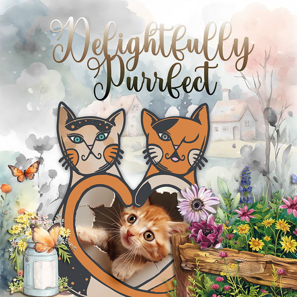 Delightfully Purrfect