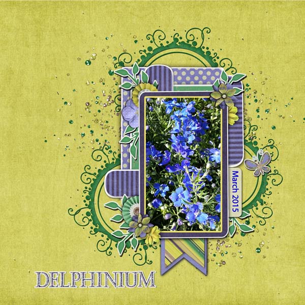 Delphinium