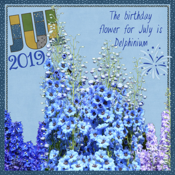 Delphiniums - July
