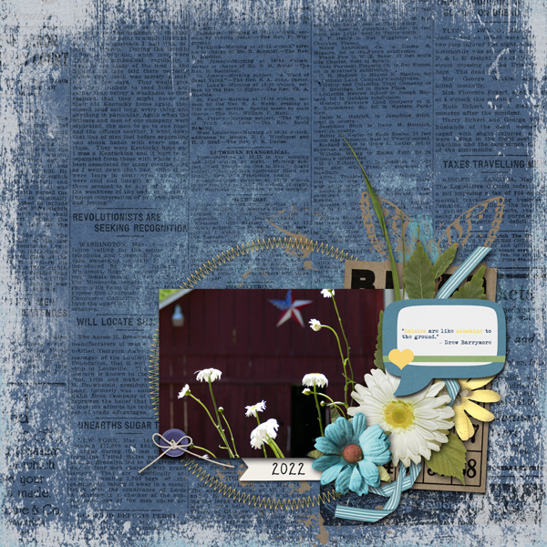 Denim and Daisies